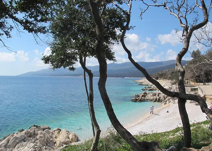 Orhideja By Interhome Appartement